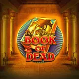 Vorschaubild des Spielautomaten Book of Dead